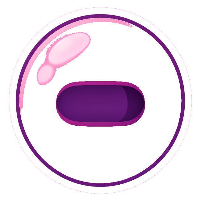 Bead