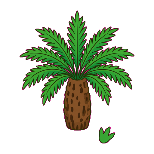 Cycad