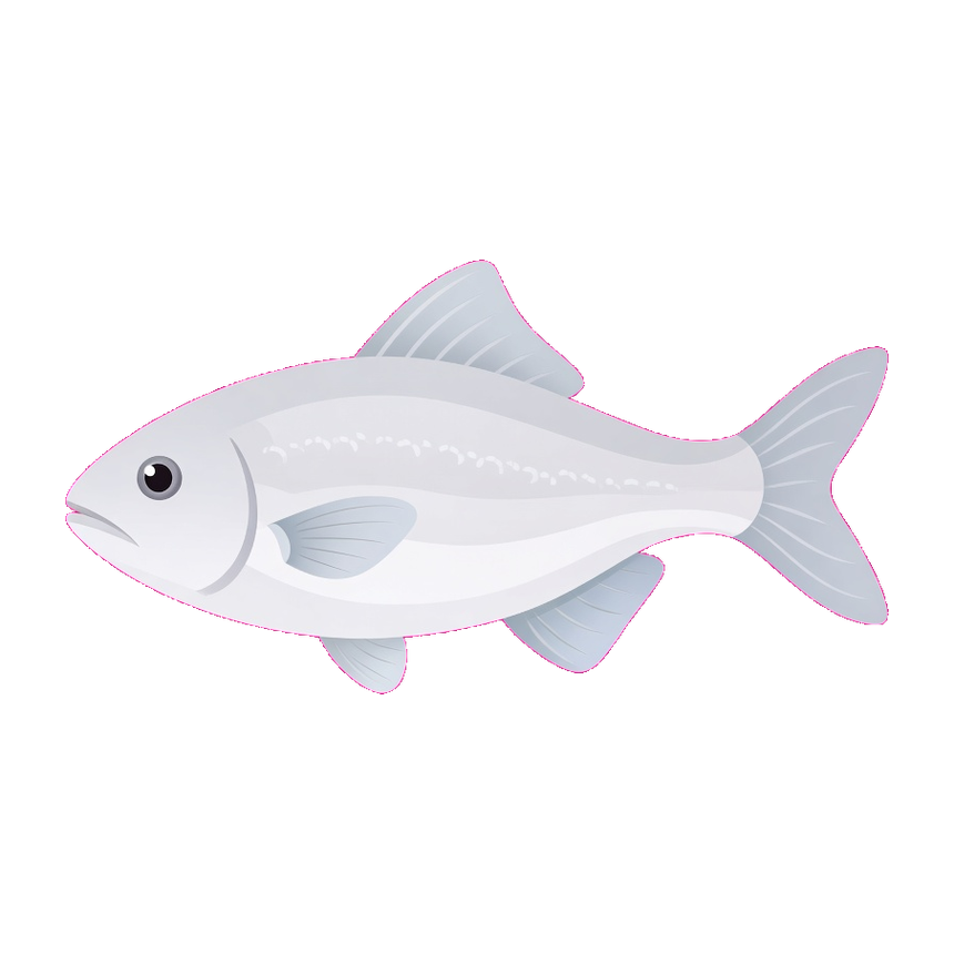 Herring