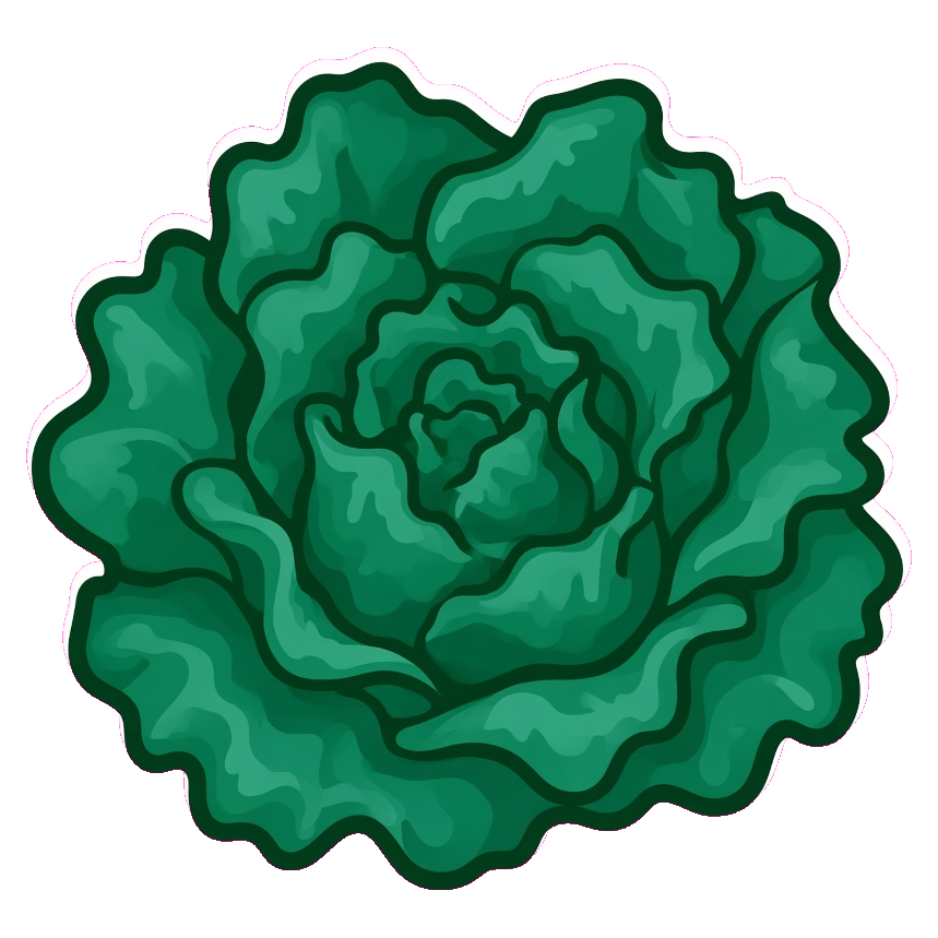 Lettuce