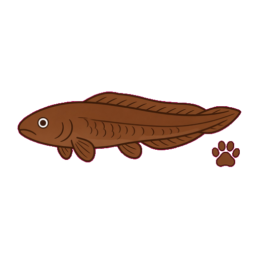Lungfish