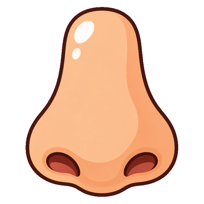 Nose