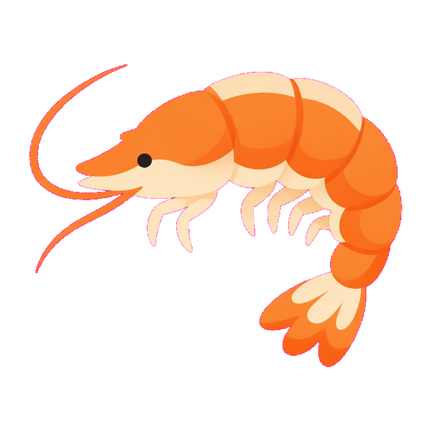 Prawn