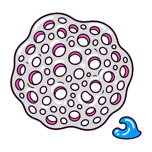 Pumice