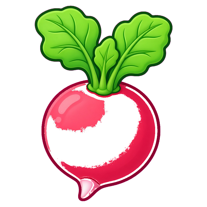 Radish