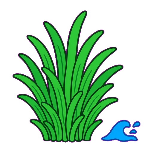 Seagrass