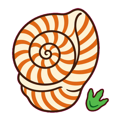 Seashell