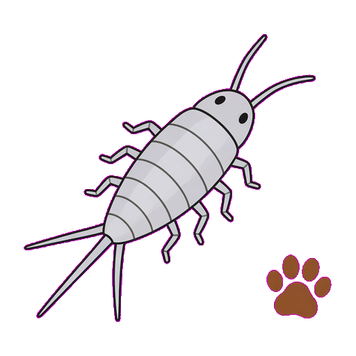 Silverfish